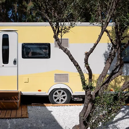 Caravans 营地 *